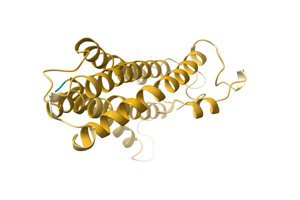 AF-A0A499MQ84-F1 image