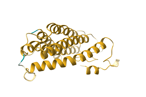 AF-A0A499N685-F1 image