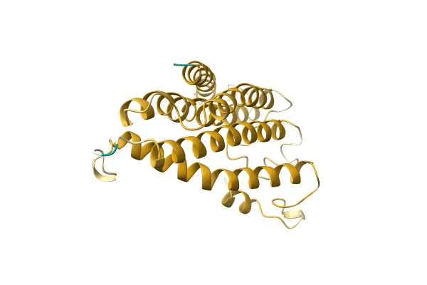 AF-A0A499N9A1-F1 image