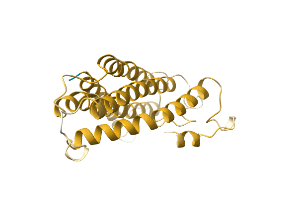 AF-A0A499NDS7-F1 image