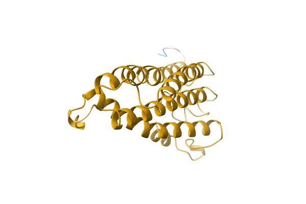 AF-A0A4D6BNP8-F1 image