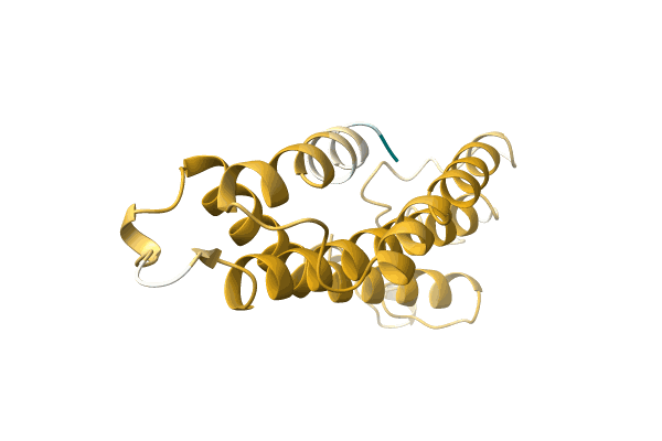 AF-A0A4D6BRG8-F1 image