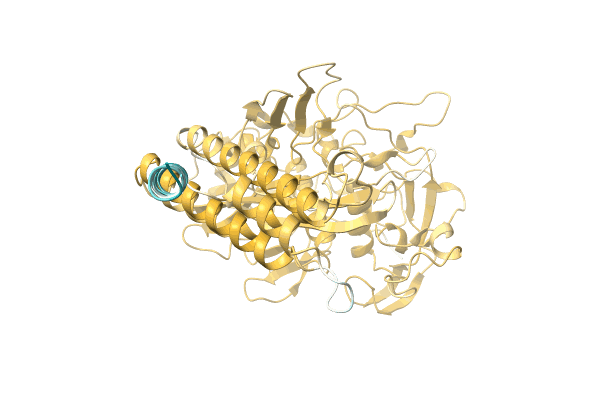 AF-A0A4D6P3M8-F1 image