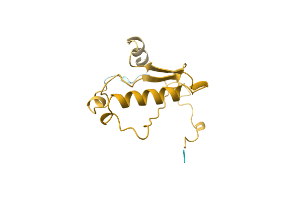 AF-A0A4D6PGS9-F1 image