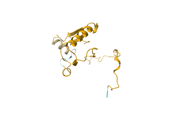 AF-A0A4D6PHF8-F1 image