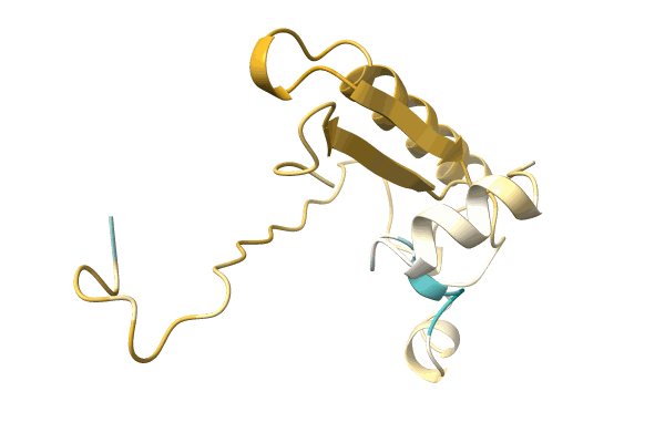 AF-A0A4D6PHH0-F1 image