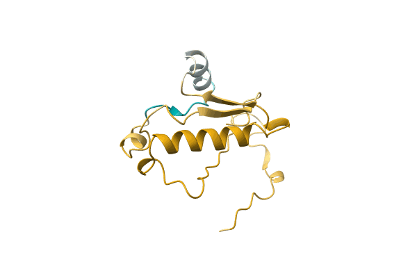 AF-A0A4D6PHS6-F1 image