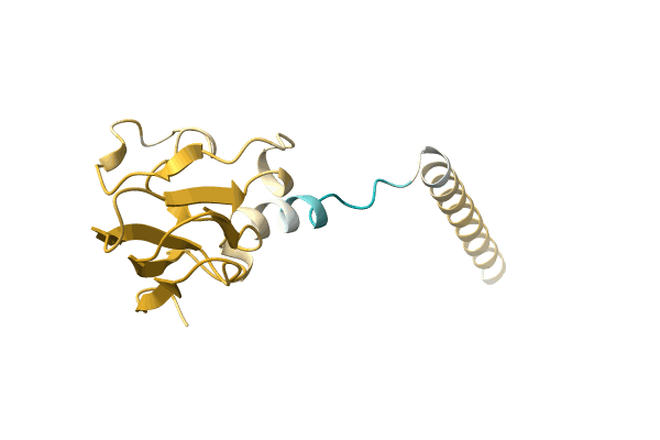 AF-A0A4D6PI08-F1 image