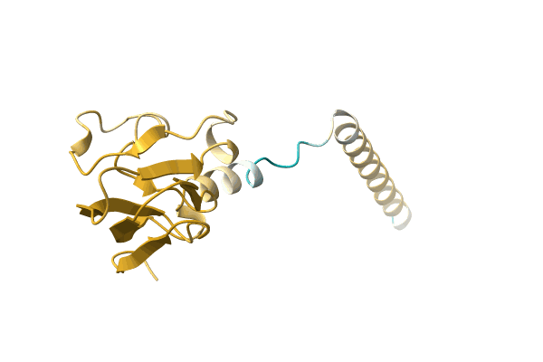 AF-A0A4D6PII8-F1 image