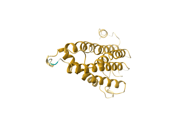 AF-A0A4D6PKH3-F1 image