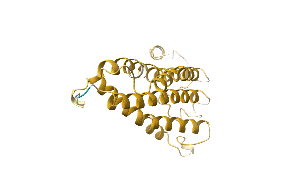 AF-A0A4D6PL32-F1 image