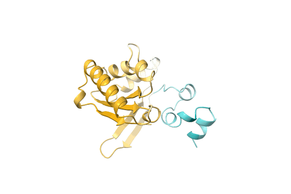 AF-A0A4D6PM11-F1 image