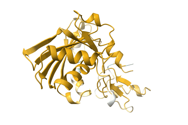 AF-A0A4D6PMM7-F1 image