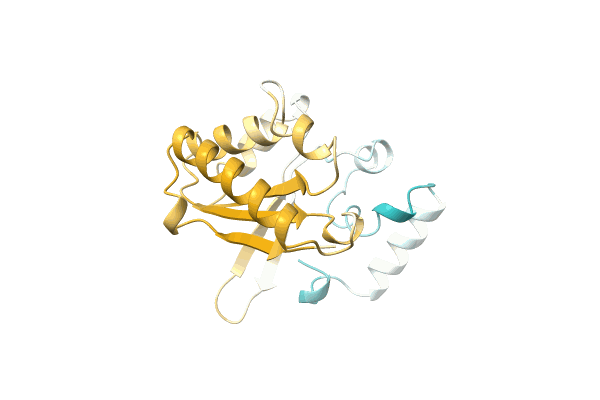 AF-A0A4D6PMU1-F1 image