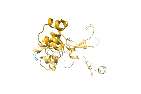 AF-A0A4D6PMU4-F1 image