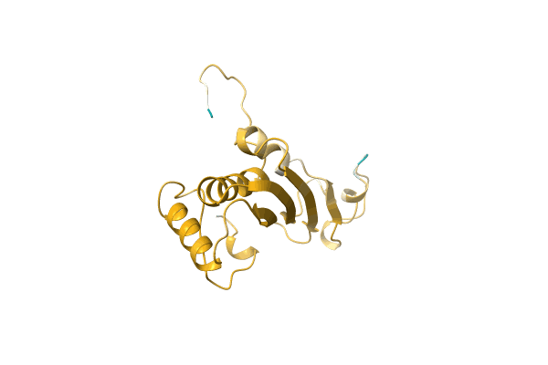 AF-A0A4D6PN44-F1 image