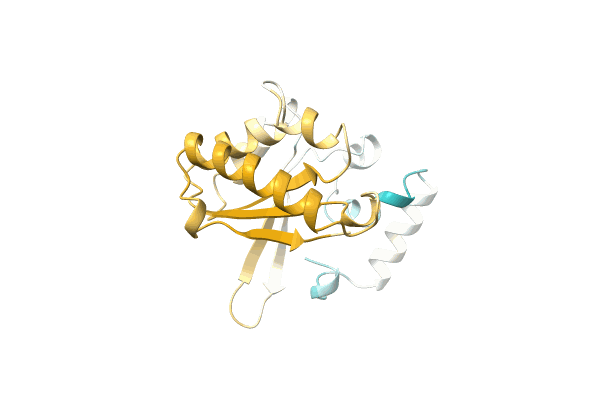 AF-A0A4D6PP42-F1 image