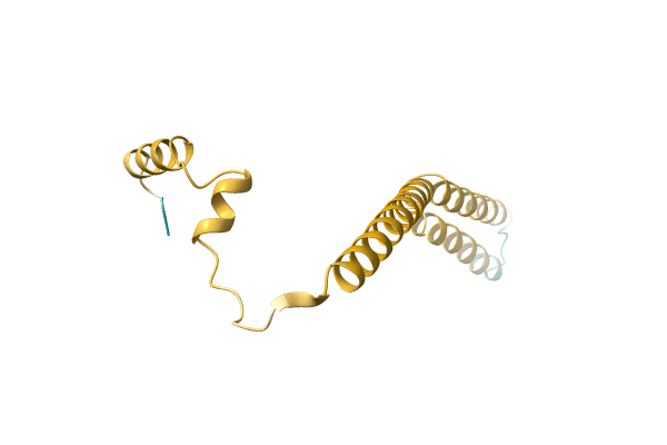 AF-A0A4D6PQ44-F1 image