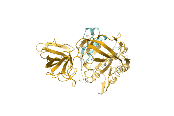 AF-A0A4D6PQ52-F1 image