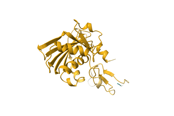 AF-A0A4D6PRU3-F1 image