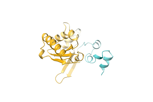 AF-A0A4D6PRX9-F1 image