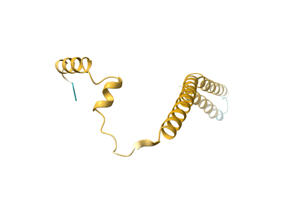 AF-A0A4D6PSC8-F1 image