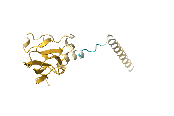 AF-A0A4D6PSJ2-F1 image