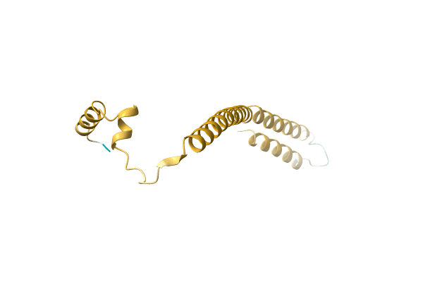 AF-A0A4D6PU64-F1 image