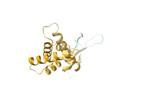 AF-A0A4D6PVA2-F1 image