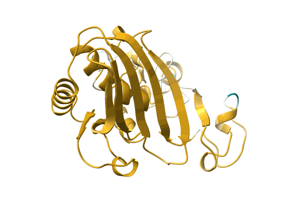 AF-A0A4D6PWV6-F1 image