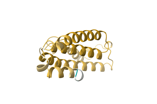 AF-A0A4D6YQY6-F1 image