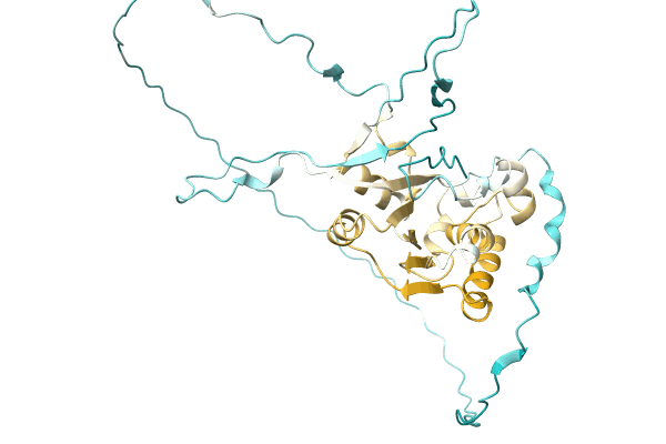 AF-A0A4D9D5V8-F1 image