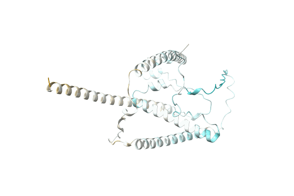 AF-A0A4D9D5X8-F1 image