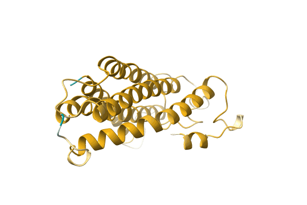 AF-A0A4P1LT84-F1 image