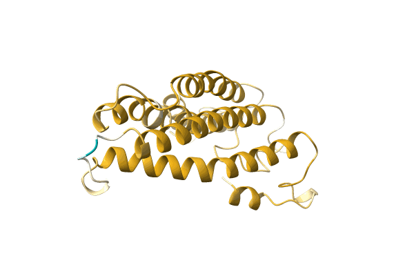 AF-A0A4P1LTQ1-F1 image