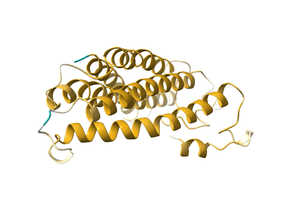 AF-A0A4P1TWL4-F1 image