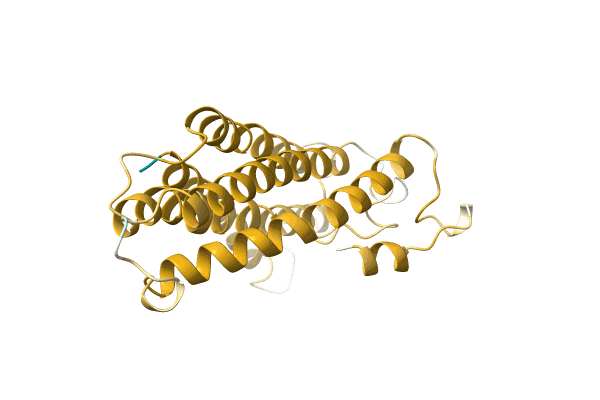 AF-A0A4P1U2P9-F1 image