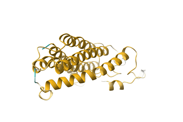 AF-A0A4P1U7P7-F1 image