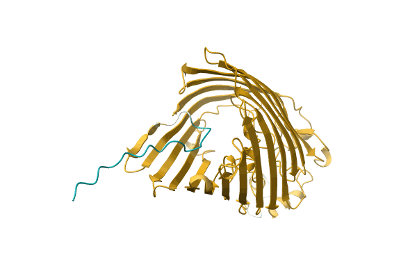 AF-A0A4P7TME1-F1 image