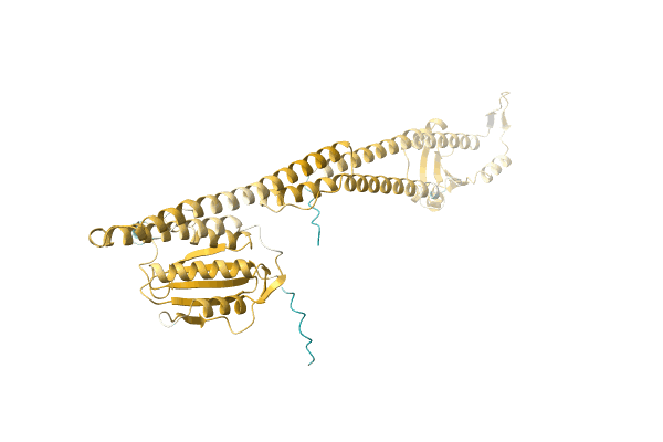 AF-A0A4P7TSF2-F1 image