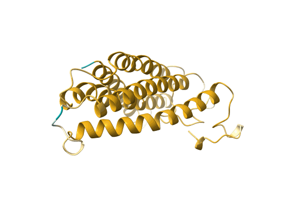 AF-A0A4P8NJN5-F1 image