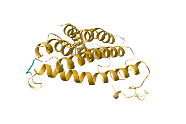 AF-A0A4P8NLN2-F1 image