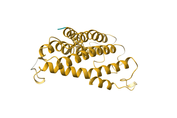 AF-A0A4P8NM79-F1 image