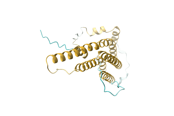 AF-A0A4Q1HGI6-F1 image