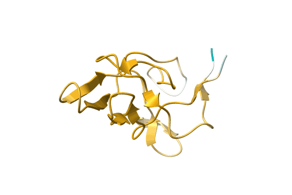 AF-A0A4Q1HGJ5-F1 image