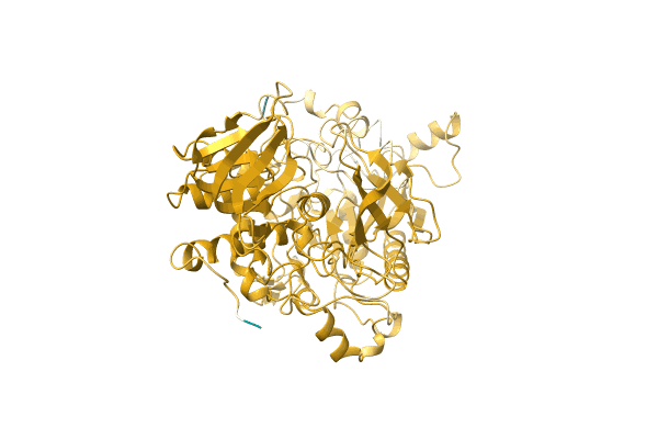 AF-A0A4Q1HGJ6-F1 image