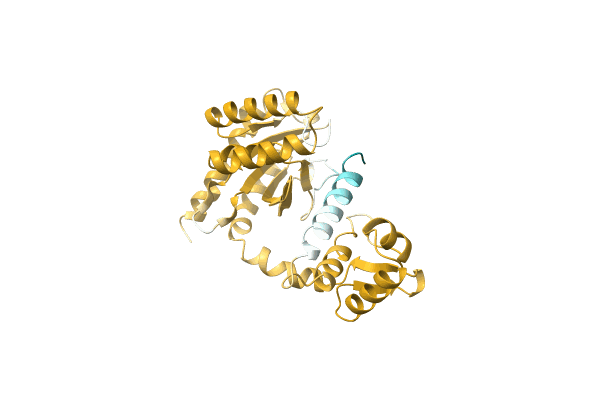 AF-A0A4Q1HGW5-F1 image