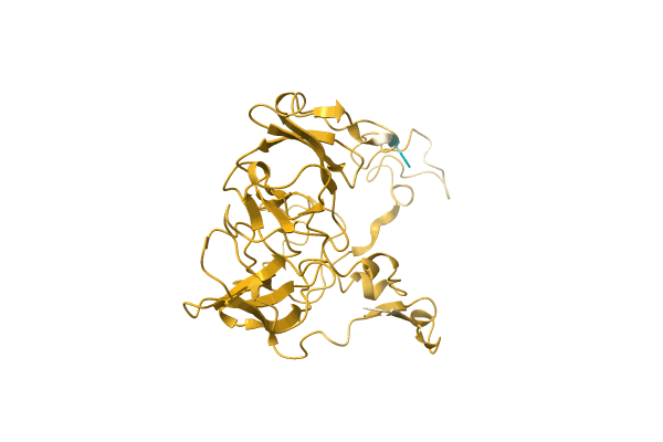 AF-A0A4Q1HGW6-F1 image