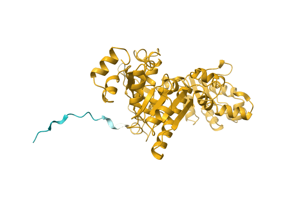 AF-A0A4Q1HGX2-F1 image