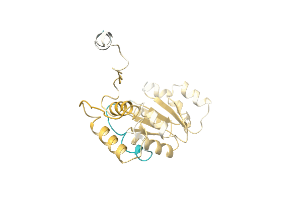 AF-A0A4Q3ZJQ1-F1 image